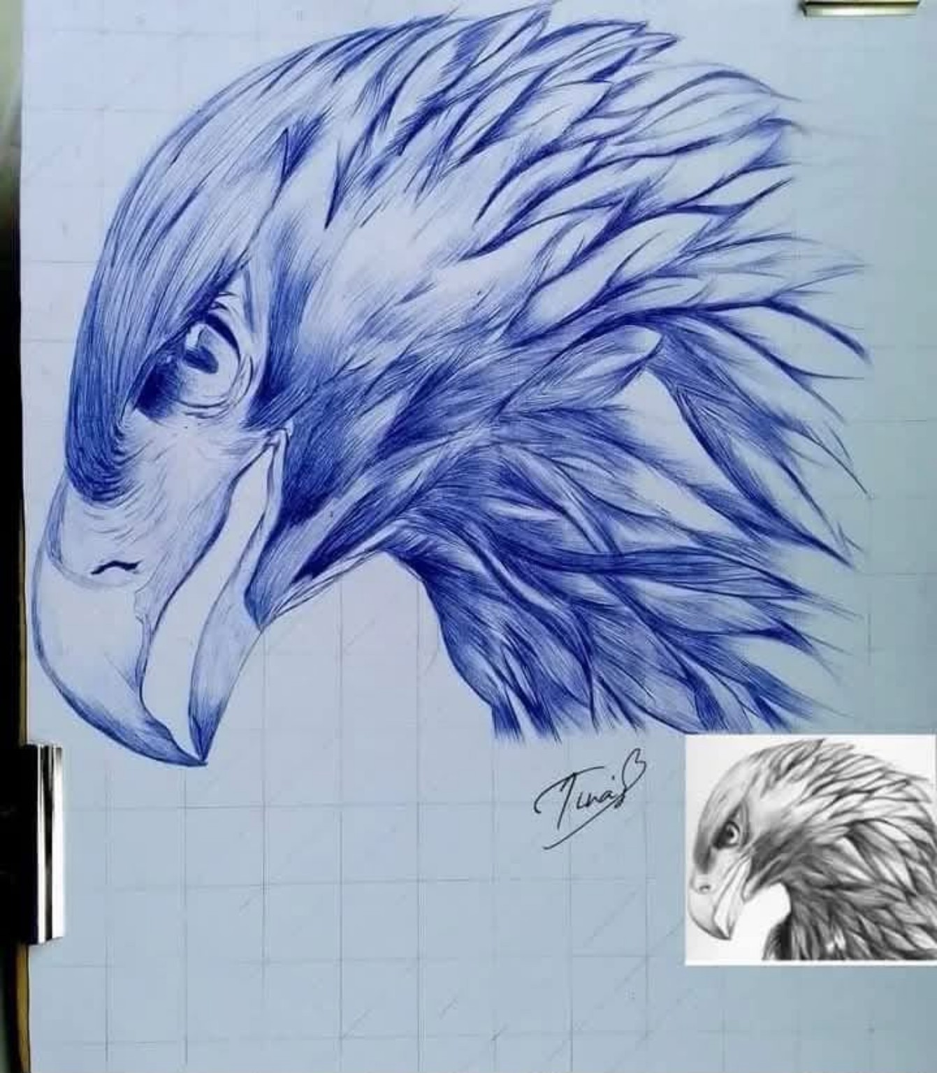 Ballpoint eagle head drawing with layered feathers, signature and a small reference image